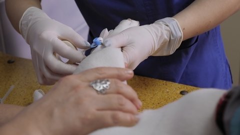 Close-up of a veterinarian doctor inserting an intravenous catheter into a dog's paw at a veterinary clinic. Dog with a catheter in the paw on the operating table. Preparation for surgery.