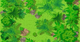 Video Seamless looping motion animation Top view of the countryside with forest, grass with stones and trees