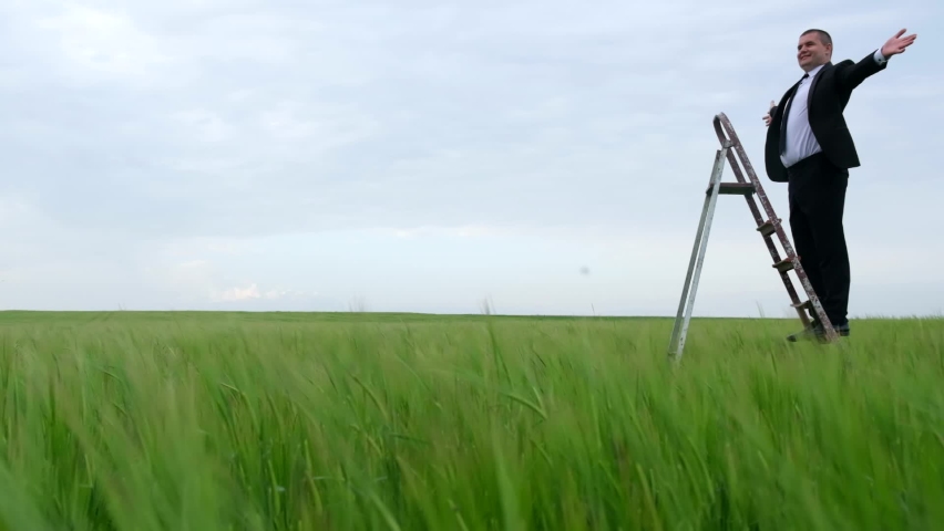 The businessman felt free in the middle of the field, climbing the career ladder.