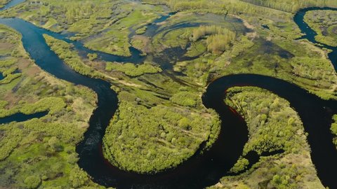 Aerial View Green Forest Woods And Curved River Landscape In Sunny Spring Day. Top View Of Rivers Nature From Attitude In Spring Season. Drone Flight View. Bird's Eye View.