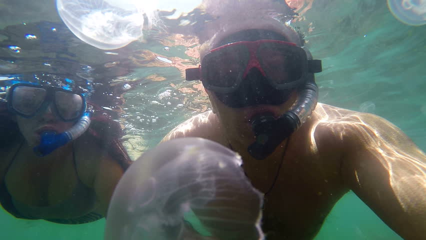 underwater swimming gear