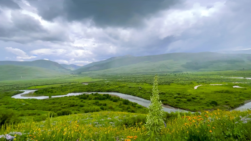 Scenic Brush Creek landscape surrounded with wildflower meadows near Crested Butte in Colorado