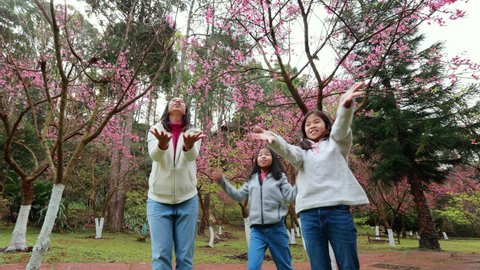 Asian mother and daughters throwing up the flower in the garden. Slow motion shot of happy family mother and children playing and enjoying in the Cherry blossom park together with fun and freshness.