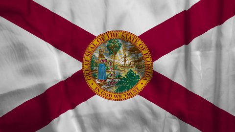 U.S states flags. Flag of Florida. High quality 4K resolution.	