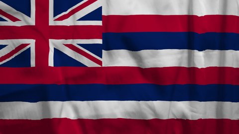 U.S states flags. Flag of Hawaii. High quality 4K resolution.	