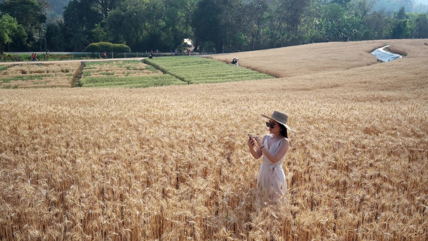 Young Asian woman taking selfie on barley field.