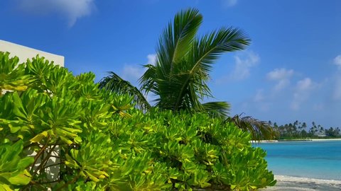 Maldives tropical beach on blue sea and sky background footage 