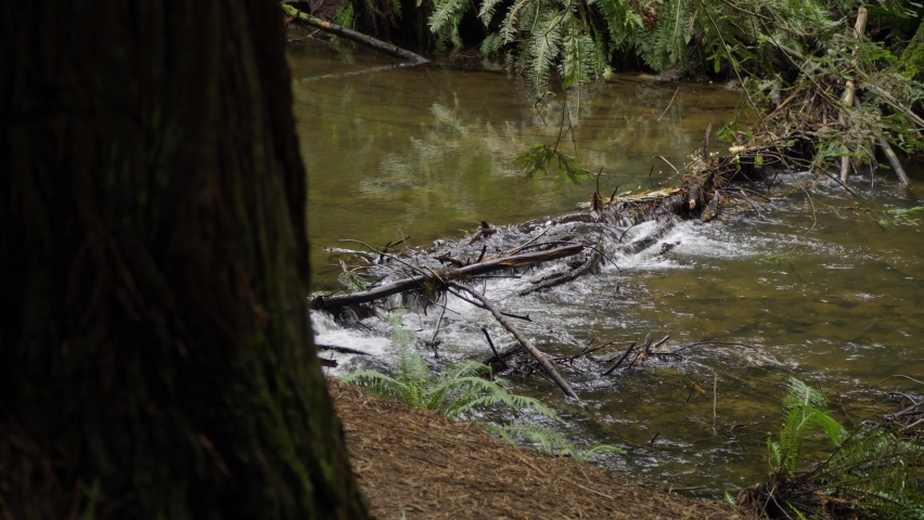 Small creek waterfall, close up sliding shot