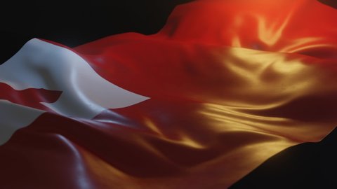 Tonga Flag with Low, Side Angled View and warm, ambient lighting, 3D Render