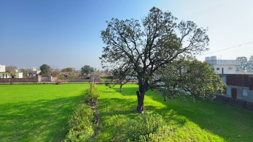 Landscaping panorama of nice lawn, scenic view of landscaped trees in summer.