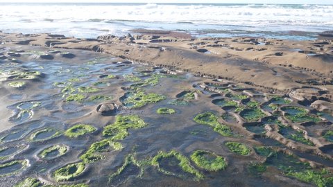 Eroded rock formation, tide pool in La Jolla, California coast, USA. Littoral intertidal zone erosion, unusual relief shape of tidepool. Water in cavity, hollows and holes on stone surface, low tide.