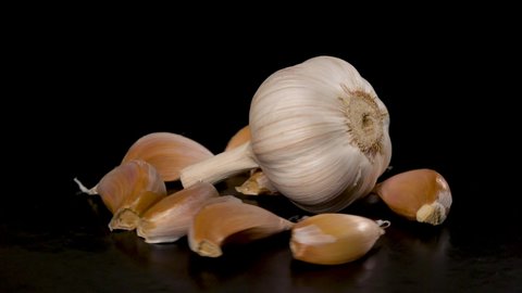 head of garlic surrounded by garlic cloves rotates on a black background 