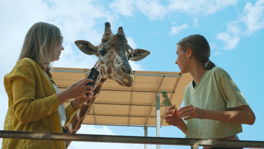 Woman doing selfie with giraffe. Royalty-Free Stock Footage #1087987619