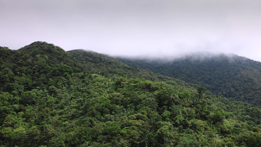 Jungle rainforest mountains with lots of vegetation aerial view, natural enviroment | Shutterstock HD Video #1087992245