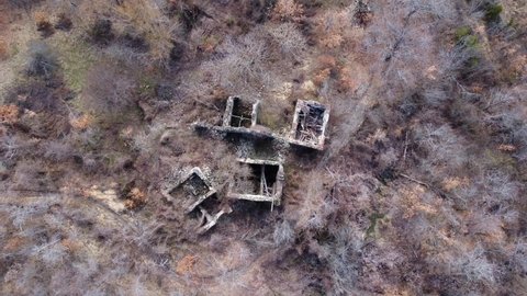 Aerial reveal shot of ruins in a forest