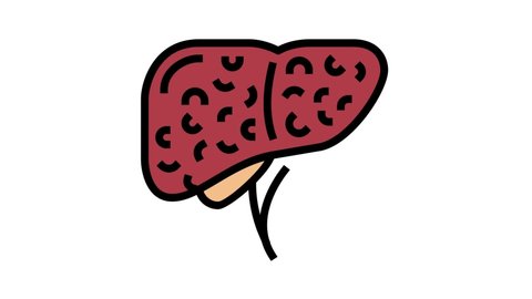 liver cirrhosis disease color icon animation