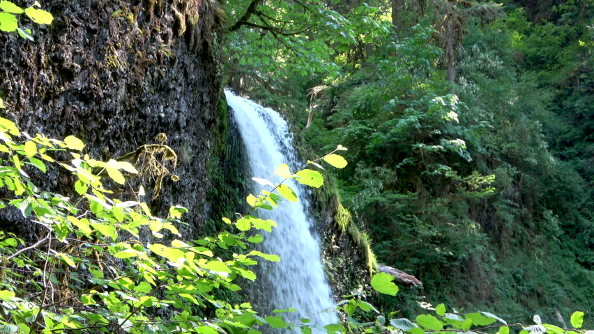 The Double Falls in the Silver Falls State Park, Oregon | Shutterstock HD Video #1088011501