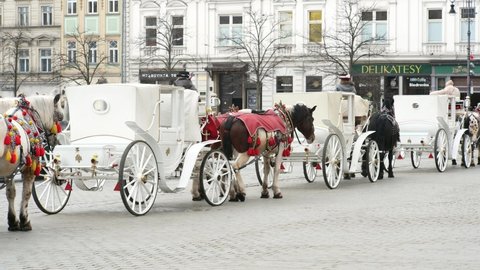 Krakow, Malopolska, Poland - January 2022: Krakow, Poland, row of traditional Old Town horse carriages, carriage city tours tourist attraction, travel destinations. Tourism, working animals, city life