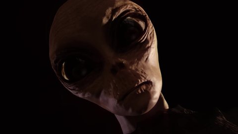 Alien looks around and at you. Remain calm - you will be returned shortly