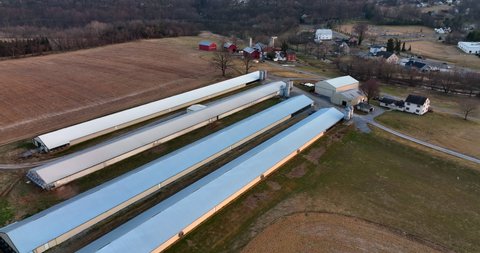 Large poultry chicken house barns on rural farm in USA. Nature aerial shot. Factory farming egg chicken layer production theme.