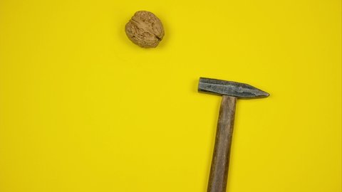 Opening walnut. Stop motion animation of cracking walnuts with hammer.