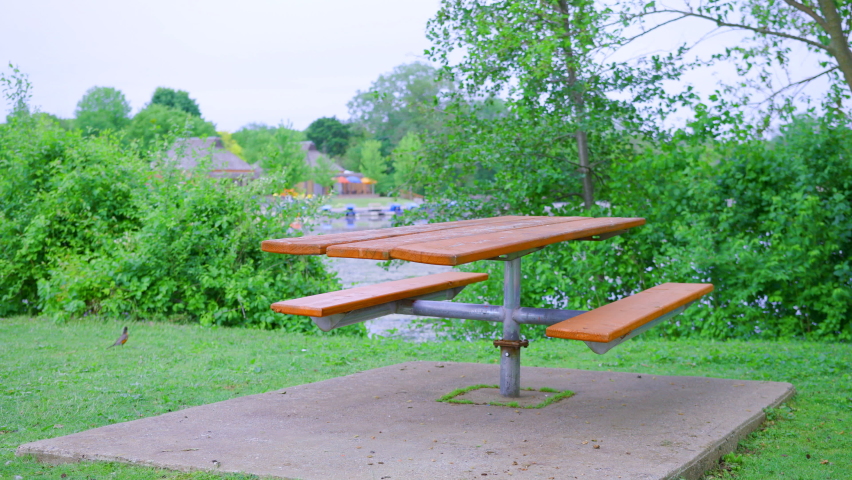 Empty picnic bench in park near lake 4k