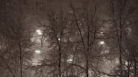Christmas weather. Snow-covered tree branches and snowfall. Night city landscape. - Powered by Shutterstock - Get 15% off with code: PIKWIZARD15