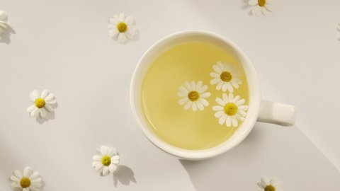 A cup of chamomile tea on a white background with flower buds inside. Soothing and healing natural herbal infusion. Flat lay, top view.