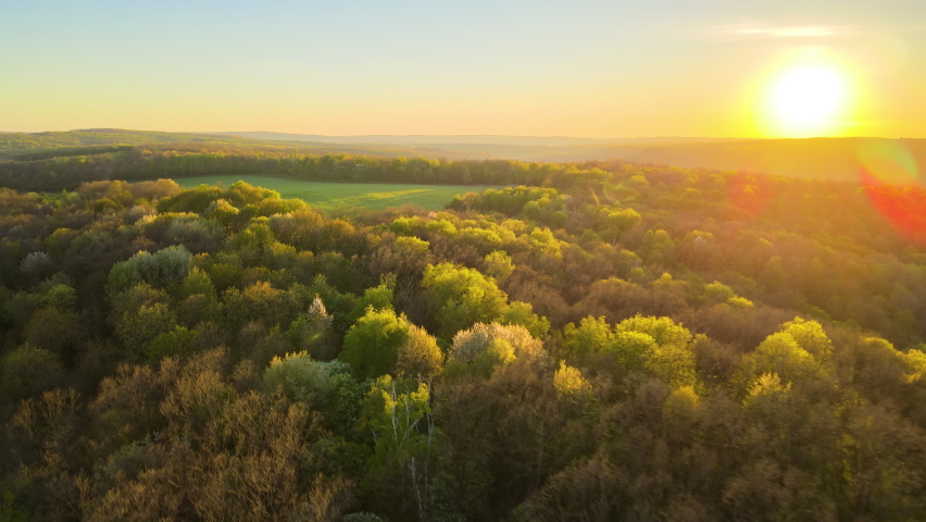 Aerial view of woodland with fresh green trees in early spring at sunset Royalty-Free Stock Footage #1088027659