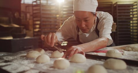 Animation of focused asian female baker arranging rolls on tray. working at bakery, independent small business.