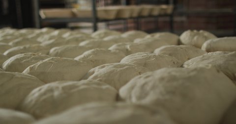 Animation of bread prepared for baking at bakery. working at bakery, independent traditional small business.