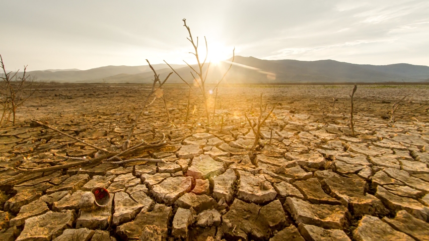 Climate Change, Dry mud and Cracked earth with dead plant, tree and marine animal at sunset background metaphor Drought affect, Water crisis and Global warming. Timelapse Royalty-Free Stock Footage #1088032807