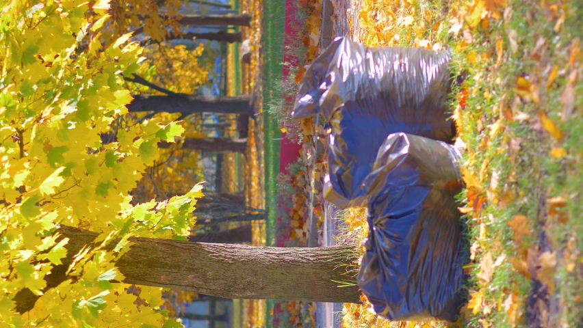 Vertical video of bags full of autumn leaves in the park 4k slow motion 60fps