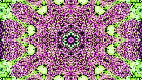 Footage kaleidoscope mandala stop motion animation graphic illustration background geometric  shape abstract neon blend mirror doodle full color