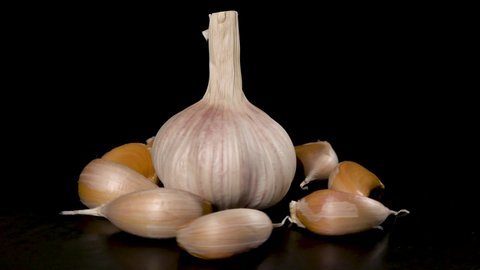head of garlic surrounded by garlic cloves rotates on a black background 