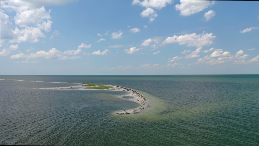flying over a sandy island inhabited by birds.wildlife