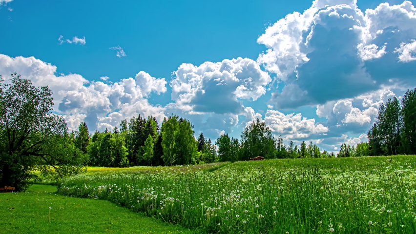 Time lapse shot of white clouds in motion at blue sky above green grass field with flowers and plants during spring | Shutterstock HD Video #1088045871