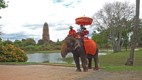 Ayutthaya Thailand February 20, 2022 Tourist take an elephant ride to see ancient temples at Ayutthaya Historical Park with a new normal way of life in the era of the covid 19 epidemic
