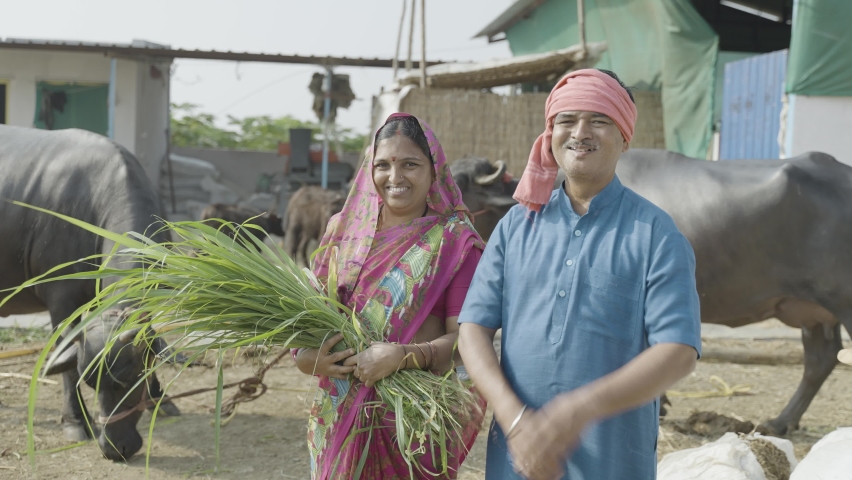 handheld shot of happy smiling milk dairy farming village couples with holding grass by looking at camera - concept of happy family, village lifestyle and togetherness. Royalty-Free Stock Footage #1088048885