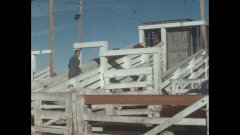 1960s: Farmer guiding cattle into trailer. Mountainous outcroppings