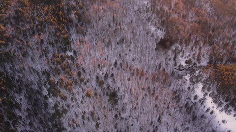Aerial Looking Down At Frozen Winter Landscape In Northern Ontario Canadian Wilderness