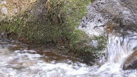 A close-up view of a large mossy boulder. A rushing river water next to the rock. Clean nature and very beautiful forest.