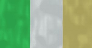Ireland flag waving in the wind with highly detailed fabric texture. 4k, Animated Realistic.