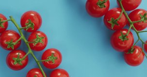 Video of fresh cherry tomatoes with copy space on blue background. fusion food, fresh vegetables and healthy eating concept.