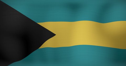 Animation of moving flag of bahamas waving. national patriotism and celebration concept digitally generated video.