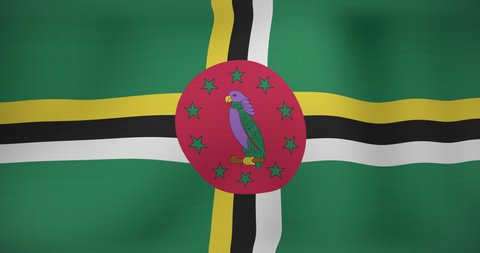 Animation of moving flag of dominica waving. national patriotism and celebration concept digitally generated video.