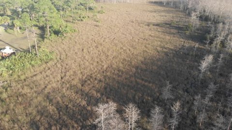 everglades , fl , United States - 03 04 2022: volkswagen vanagon westfalia campervan camping campground everglades forest grass vanlife aerial drone tilt reveal