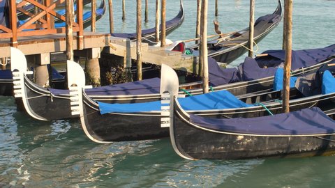 gondolas sway moored at the pier in piazza san marco in venice