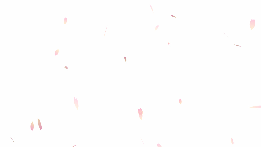 Animation with alpha channel where cherry blossom petals are scattered | Shutterstock HD Video #1088090037