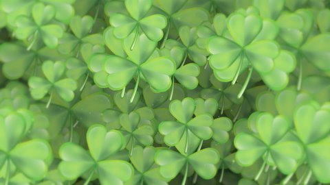 Saint Patrick's Day background: gently moving green shamrocks and particles. This textured motion background is full HD and a seamless loop